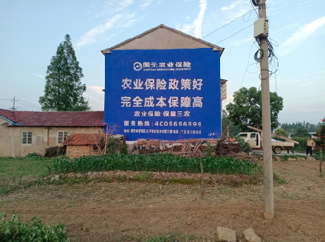 凌云墙体广告为何受追捧？